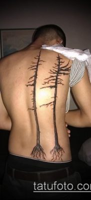 صورة وشم شجرة التنوب (وشم شجرة التنوب) (قيمة) - مثال الرسم - 081