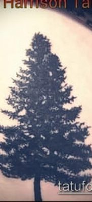 صورة وشم شجرة التنوب (وشم شجرة التنوب) (قيمة) - مثال الرسم - 079