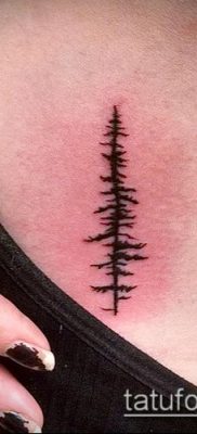 صورة وشم شجرة التنوب (وشم شجرة التنوب) (قيمة) - مثال الرسم - 076