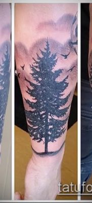 صورة وشم شجرة التنوب (وشم شجرة التنوب) (القيمة) - مثال الرسم - 074