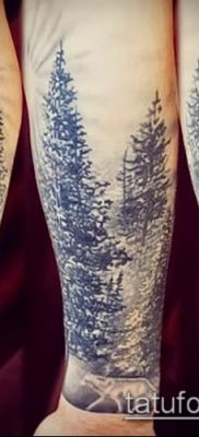 صورة وشم شجرة التنوب (وشم شجرة التنوب) (قيمة) - مثال الرسم - 072