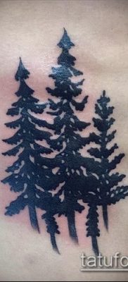 صورة وشم شجرة التنوب (معنى) - مثال الرسم - 071