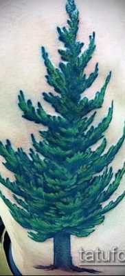 صورة وشم شجرة التنوب (وشم شجرة التنوب) (قيمة) - مثال الرسم - 070