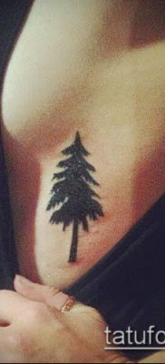 صورة وشم شجرة التنوب (وشم شجرة التنوب) (قيمة) - مثال الرسم - 069