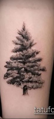 صورة وشم شجرة التنوب (وشم شجرة التنوب) (قيمة) - مثال الرسم - 065