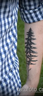 صورة وشم شجرة التنوب (وشم شجرة التنوب) (قيمة) - مثال الرسم - 064