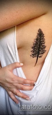 صورة وشم شجرة التنوب (وشم شجرة التنوب) (قيمة) - مثال الرسم - 063