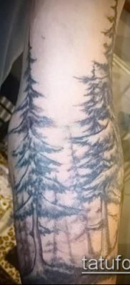 صورة وشم شجرة التنوب (وشم شجرة التنوب) (قيمة) - مثال الرسم - 060