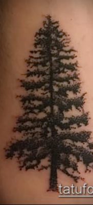 صورة وشم شجرة التنوب (وشم شجرة التنوب) (قيمة) - مثال الرسم - 058