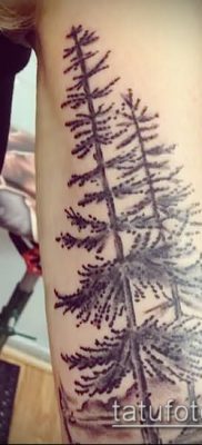 صورة وشم شجرة التنوب (وشم شجرة التنوب) (قيمة) - مثال الرسم - 056