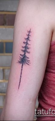 صورة وشم شجرة التنوب (وشم شجرة التنوب) (قيمة) - مثال الرسم - 055