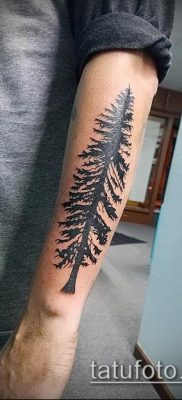 صورة وشم شجرة التنوب (وشم شجرة التنوب) (قيمة) - مثال الرسم - 052