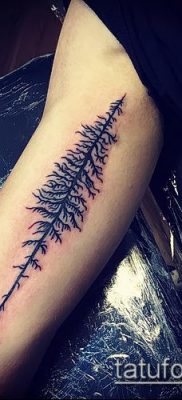 صورة وشم شجرة التنوب (وشم شجرة التنوب) (قيمة) - مثال الرسم - 051