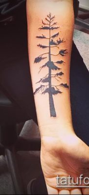 صورة وشم شجرة التنوب (وشم شجرة التنوب) (قيمة) - مثال الرسم - 050