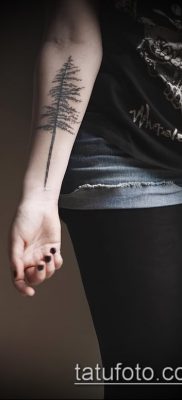 صورة وشم شجرة التنوب (وشم شجرة التنوب) (قيمة) - مثال الرسم - 049