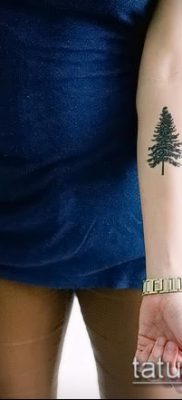 النسخة الأنثوية من وشم التنوب الملون على الذراع - مثال بالصورة