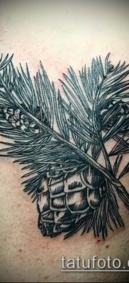 صورة وشم شجرة التنوب (وشم شجرة التنوب) (قيمة) - مثال الرسم - 042