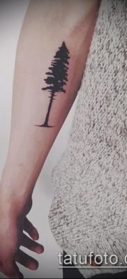 صورة وشم شجرة التنوب (وشم شجرة التنوب) (قيمة) - مثال الرسم - 037