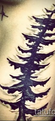 صورة وشم شجرة التنوب (وشم شجرة التنوب) (قيمة) - مثال الرسم - 036