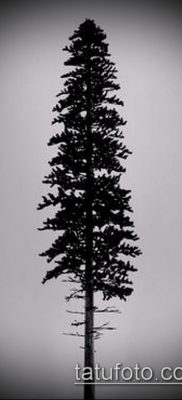 صورة وشم شجرة التنوب (وشم شجرة التنوب) (قيمة) - مثال الرسم - 034