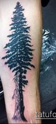 صورة وشم شجرة التنوب (وشم شجرة التنوب) (قيمة) - مثال الرسم - 031