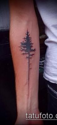 صورة وشم شجرة التنوب (وشم شجرة التنوب) (قيمة) - مثال الرسم - 024