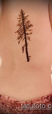 صورة وشم شجرة التنوب (وشم شجرة التنوب) (قيمة) - مثال الرسم - 023