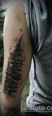 صورة وشم شجرة التنوب (وشم شجرة التنوب) (قيمة) - مثال الرسم - 022