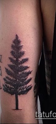 صورة وشم شجرة التنوب (وشم شجرة التنوب) (قيمة) - مثال الرسم - 018