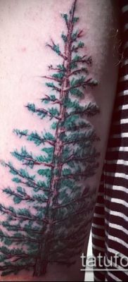 صورة وشم شجرة التنوب (وشم شجرة التنوب) (قيمة) - مثال الرسم - 015