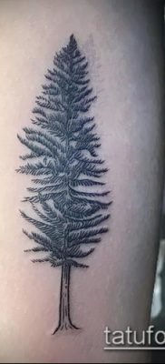 صورة وشم شجرة التنوب (وشم شجرة التنوب) (قيمة) - مثال الرسم - 014