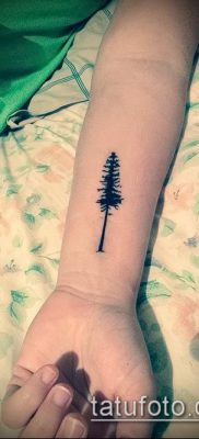 صورة وشم شجرة التنوب (وشم شجرة التنوب) (قيمة) - مثال الرسم - 013