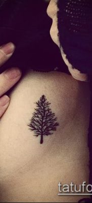 صورة وشم شجرة التنوب (وشم شجرة التنوب) (قيمة) - مثال الرسم - 012