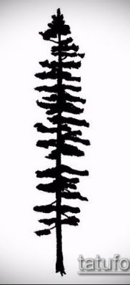 صورة وشم شجرة التنوب (وشم شجرة التنوب) (قيمة) - مثال الرسم - 011