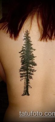 صورة وشم شجرة التنوب (وشم شجرة التنوب) (قيمة) - مثال الرسم - 010