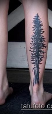 صورة وشم شجرة التنوب (وشم شجرة التنوب) (قيمة) - مثال الرسم - 007