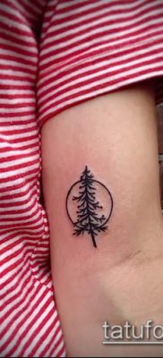 صورة وشم شجرة التنوب (وشم شجرة التنوب) (قيمة) - مثال الرسم - 003