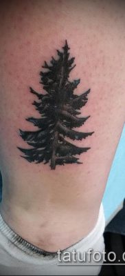 صورة وشم شجرة التنوب (وشم شجرة التنوب) (قيمة) - مثال الرسم - 001