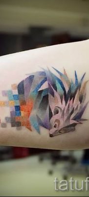 fotografija ježa tetovaža - primjeri za članak o značenju tetovaža jež - tatufoto.ru - 34