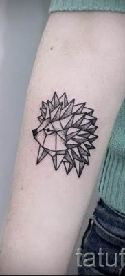 fotografija ježa tetovaže - primjeri za članak o značenju tetovaža jež - tatufoto.ru - 32