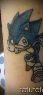 fotografija ježa tetovaže - primjeri za članak o značenju tetovaža jež - tatufoto.ru - 31