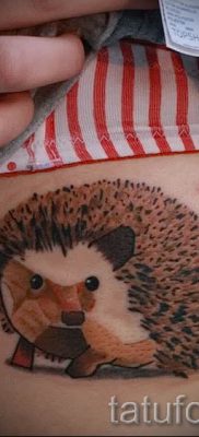 fotografija ježa tetovaža - primjeri za članak o značenju tetovaža jež - tatufoto.ru - 26
