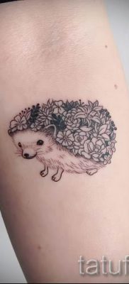 fotografija ježa tetovaža - primjeri za članak o značenju tetovaža jež - tatufoto.ru - 24