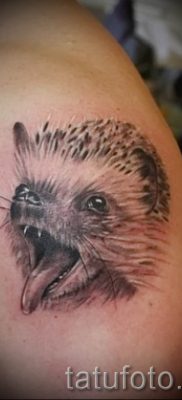 fotografija ježa tetovaža - primjeri za članak o značenju tetovaža jež - tatufoto.ru - 21