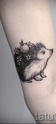 fotografija ježa tetovaža - primjeri za članak o značenju tetovaža jež - tatufoto.ru - 20