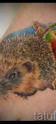 fotografija ježa tetovaža - primjeri za članak o značenju tetovaža jež - tatufoto.ru - 19