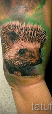 fotografija ježa tetovaža - primjeri za članak o značenju tetovaža jež - tatufoto.ru - 17