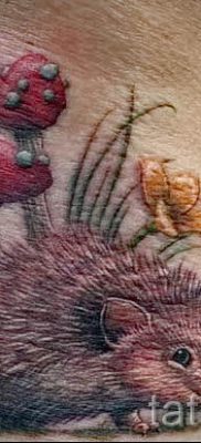 fotografija ježa tetovaža - primjeri za članak o značenju tetovaža jež - tatufoto.ru - 14