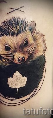 fotografija ježa tetovaža - primjeri za članak o značenju tetovaža jež - tatufoto.ru - 13