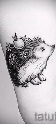 fotografija ježa tetovaža - primjeri za članak o značenju tetovaža jež - tatufoto.ru - 8